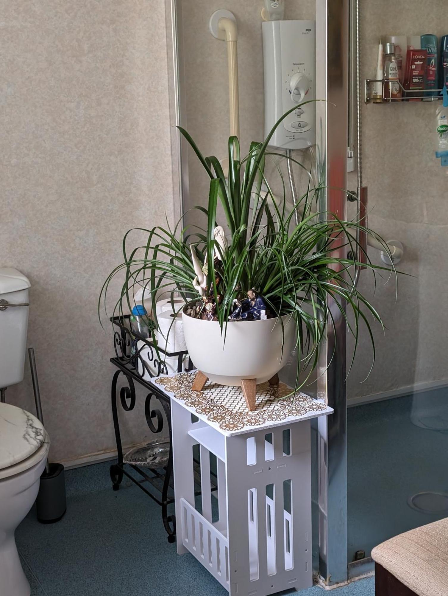 Sea Song, Selkie House Bed and Breakfast Helmsdale Εξωτερικό φωτογραφία