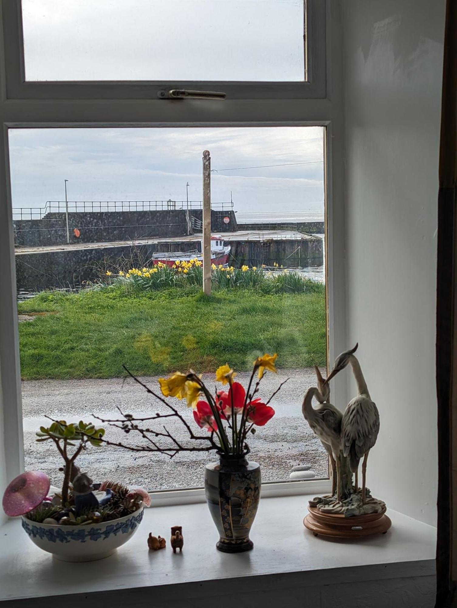 Sea Song, Selkie House Bed and Breakfast Helmsdale Εξωτερικό φωτογραφία